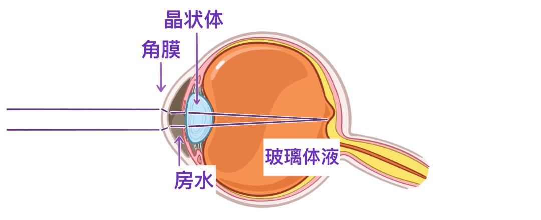 眼睛16.jpg