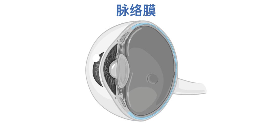 眼睛10.jpg