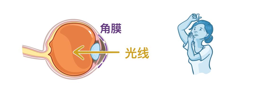 眼睛5.jpg