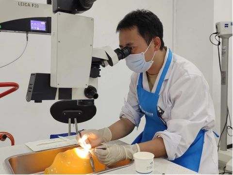 杨帆2.jpg